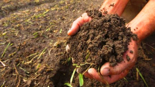 कञ्चनपुरको माटोमा क्षारीय र अम्लीयपन न्यून