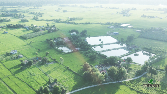 माछा उत्पादनमा आत्मनिर्भर बन्दै कैलाली र कञ्चनपुर, बर्सेनि २५ हेक्टर पोखरी विस्तार 