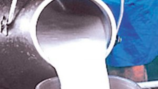 दैनिक ८ लिटर दुध उत्पादन गर्ने किसानलाइ पुरुस्कार