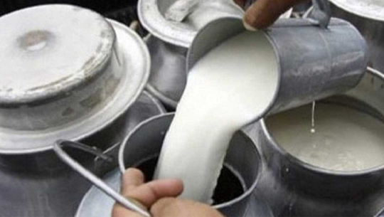 लकडाउन अवधिमा दुई अर्बकाे दूध नोक्सान