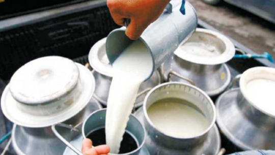 Milk production and availability rise significantly in far west province