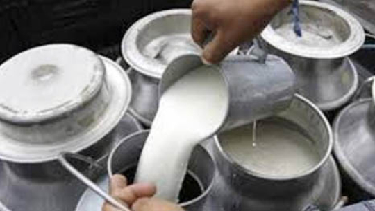 भदौ १ देखि दूधको मूल्य बढाउन माग