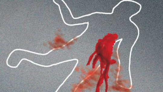 Cases of criminal offences of serious nature increase