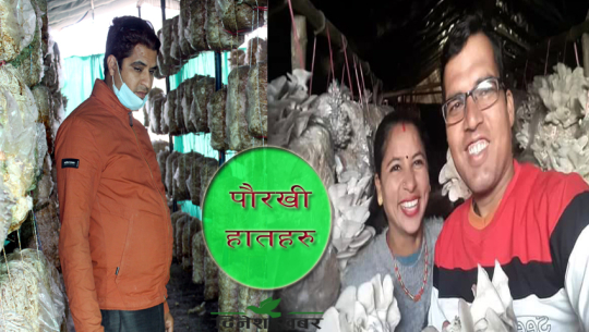 च्याउ खेतीमा युवा पुस्ता : लाखौं आम्दानी, बेरोजगारलाई दिए रोजगारी