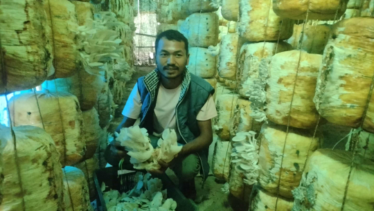 हाइटेक टनेलमा च्याउखेती गरी मनग्य आम्दानी