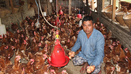 कृषि र पशुपालनबाट मनग्य आम्दानी