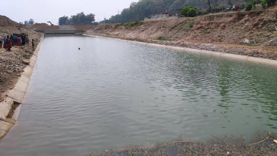 नहरमा डुबेर कैलालीमा एक युवक बेपत्ता