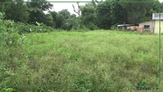 धनगढी नगर विकास समितिले व्यक्तिको जग्गा बिक्री गरेको खुलासा 