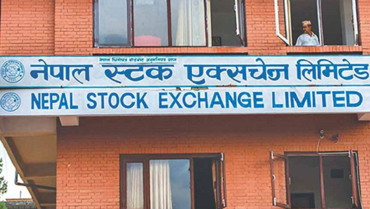 नेप्सेमा झिनो सुधार