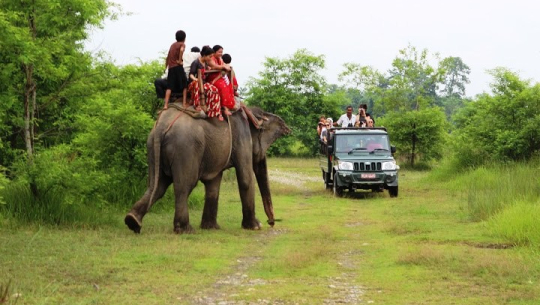 शुक्लाफाँटा राष्ट्रिय निकुञ्जमा बढ्दै पर्यटक, चैतमै ५२० जना पुगे