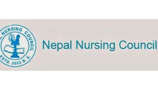 Nursing Council says nurses, midwives work dedicatedly amidst COVID-19 challenges