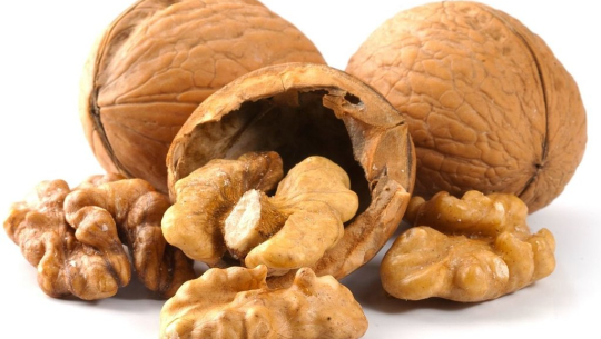 ओखर बगैँचा स्थापना हुदै