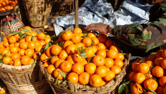 फाइल फोटो