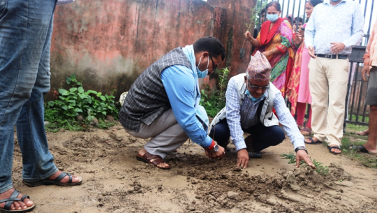 बिपी स्मृती दिवसको अवसरमा कांग्रेस कैलालीद्वारा वृक्षारोपण