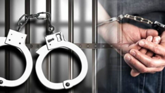 Two absconding individuals arrested in Kailali on drug convictions