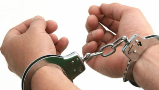 कञ्चनपुरमा हात्ती मृत्यु घटनामा एक जना पक्राउ