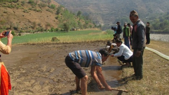 तलकोट गाउँपालिका १ मा सेतीको पानी तानेर तरकारी खेती