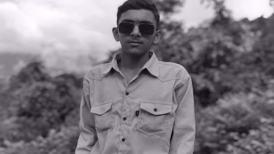 Teenager Fatally Crushed by Tree in Baitadi