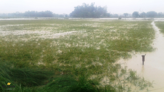 फाइल फोटो