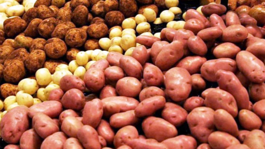 कैलालीमा आलु उत्पादन बढ्यो