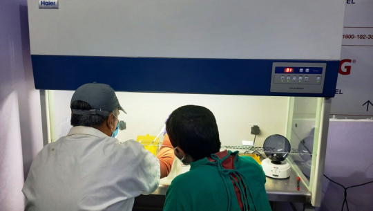 17 additional cases of Coronavirus in Far-West