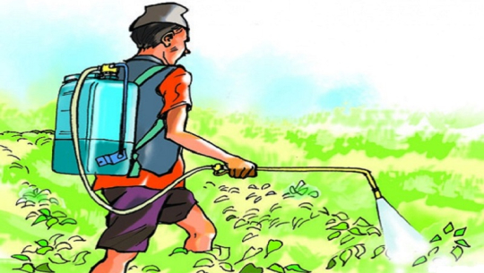 प्रदेश नम्बर ३ का पाँच जिल्लामा विषादी परीक्षण केन्द्र स्थापना हुने