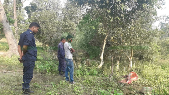 कैलालीको फुलवारीमा गाई काट्ने तीन जना पक्राउ