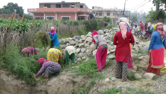 प्रधानमन्त्री रोजगार कार्यक्रम अन्तरगत मुख्यमन्त्रीको निवास अगाडी सफाई गरिदै