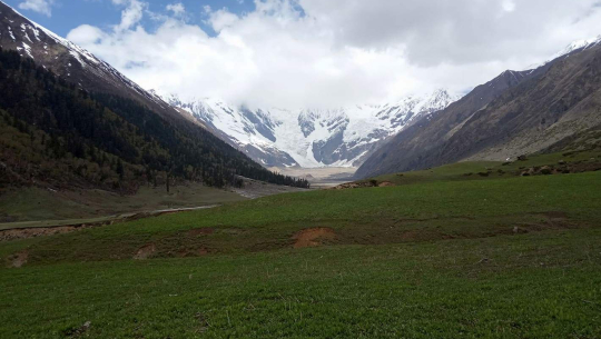 तस्करको अखडा बन्दै बाजुराको सैन हिमाल