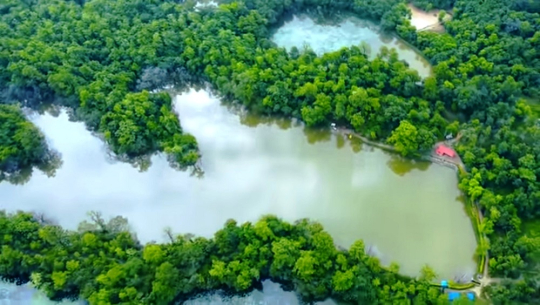 विश्व रामसार क्षेत्रमा सूचीकृत घोडाघोडी सिमसार क्षेत्रको संरक्षणमा बेवास्ता