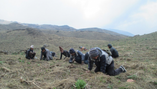 फाइल फोटो 