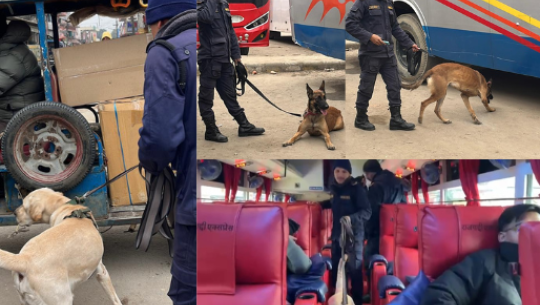 कैलालीमा सार्वजनिक सुरक्षा सुनिश्चित गर्न कुकुरद्वारा नियमित चेकजाँच 