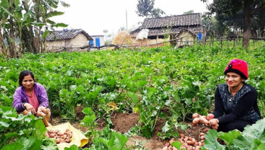 फाईल फोटो 