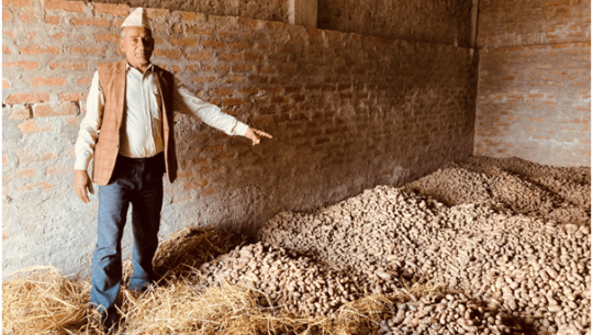 आलु प्रवर्द्धन कार्यक्रमले दुई हजार सात सय क्षेत्र विस्तार