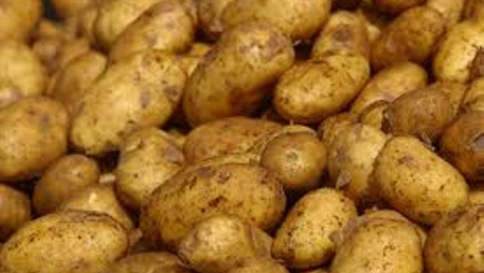 दार्चुलाको आलुले बजार पाएपछि किसान खुसी