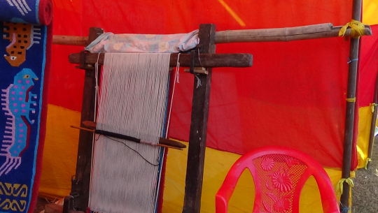 घरेलु उद्योग संचालनबाट मनग्य आम्दानी