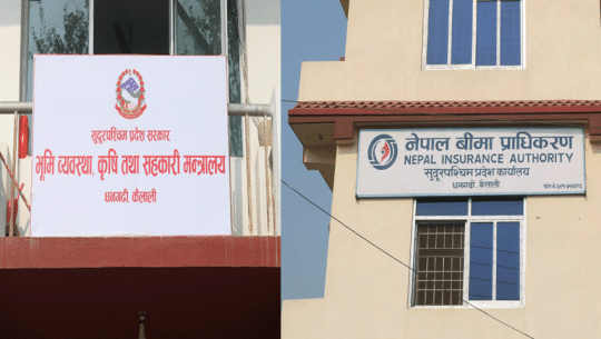 सुदूरपश्चिम प्रदेशमा कृषि बीमा गर्नेको संख्या बढ्न सकेन