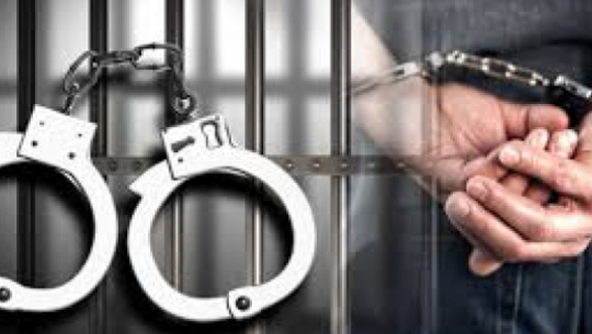 Two absconding individuals arrested in Kailali for forest produce and cheque dishonor cases