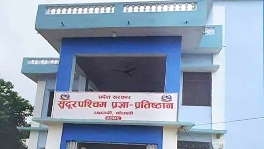 धनगढीमा भोलिदेखि ललितकला प्रदर्शनी