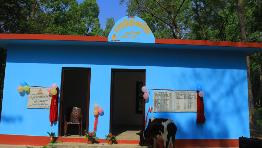 स्याउलेमा स्थानीयको सहयोगले अस्थायी ट्राफिक प्रहरी पोस्टको भवन निर्माण