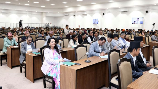 प्रतिनिधिसभाः उठेका विषयमा सरकारले स्पष्ट पार्नुपर्ने माग