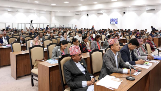 प्रतिनिधिसभाः नेपालीको आत्मदाह र निधन भएको घटनाको छानबिन गर्न माग