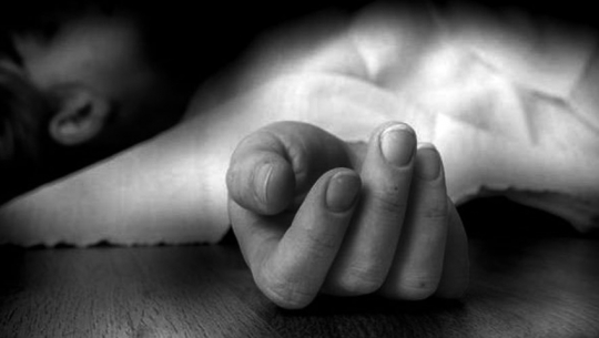 Tragic Accident Claims Life of Darchula Woman Hit by Truck