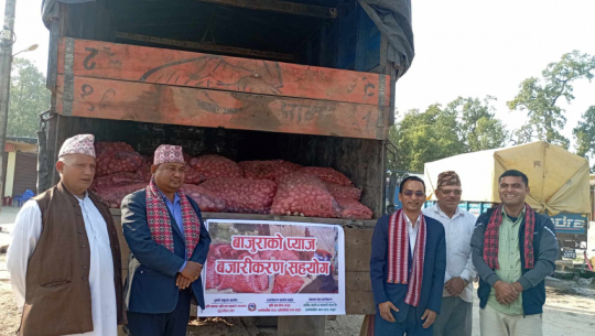 Bajura's Organic Onions Grace Kailali Market, Bolstering Local Agriculture
