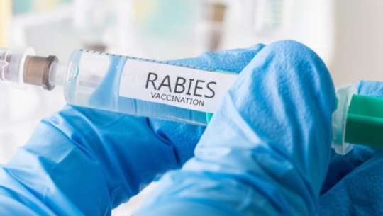 Rabies vaccine shortage reported across Far West health facilities