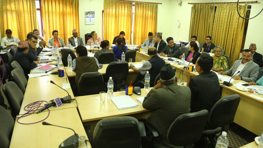 दार्चुला घटनाको छानबिन प्रतिवेदन छिटो सार्वजनिक गर्न निर्देशन