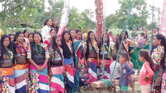 कञ्चनपुरका राना थारु गाउँमा सुरु भयो साउनको डोलाको रौनक