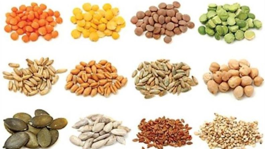 रैथाने जातका बीउ खोज्दै डडेल्धुराका कृषक