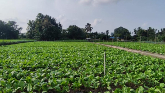 कृषि शिक्षा पढ्न विद्यार्थी उत्साहित