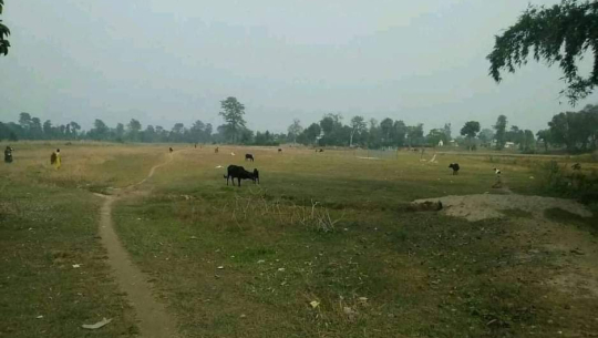 फाइल फोटो 